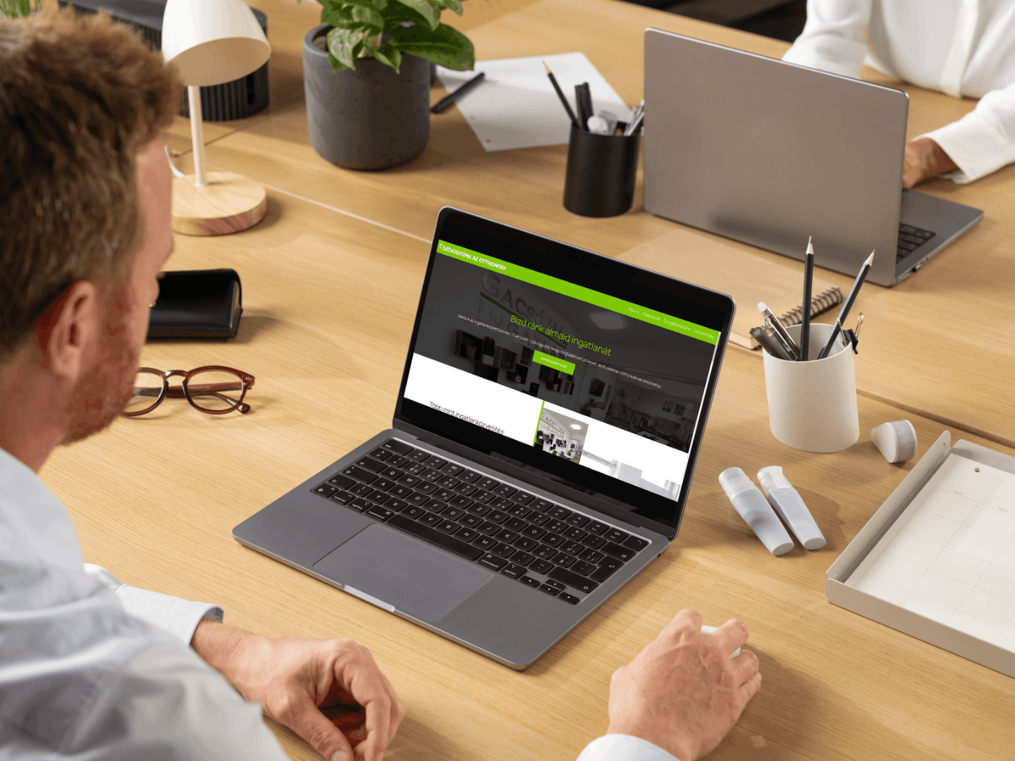 Török Balázs referencia