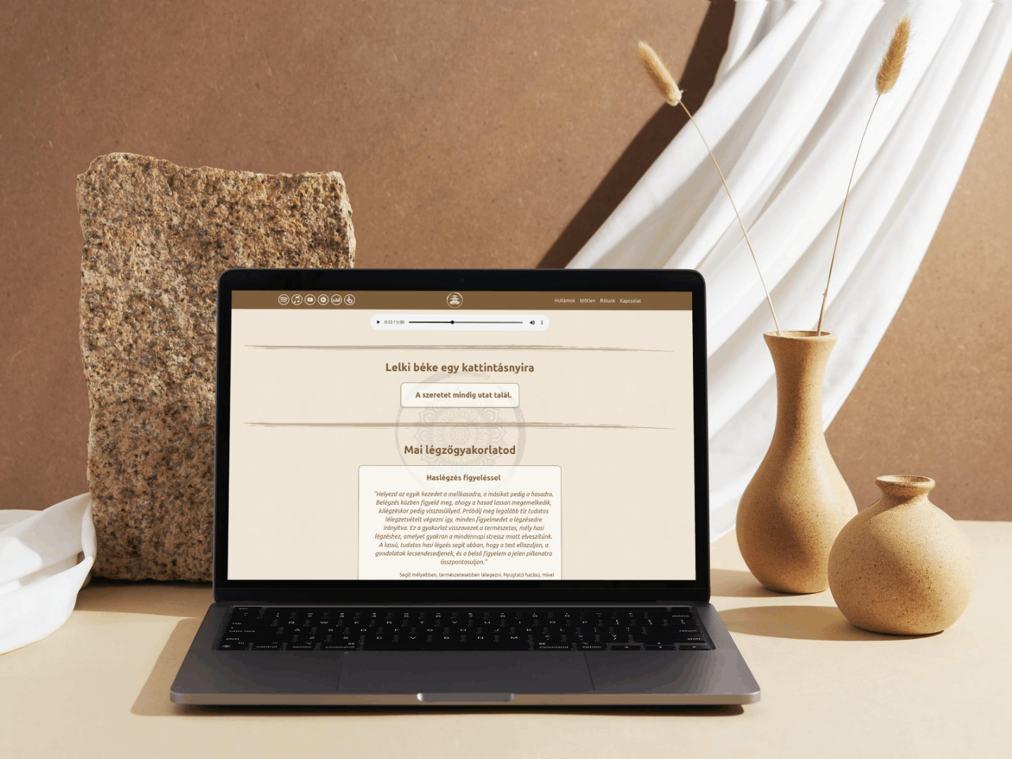 Török Balázs referencia