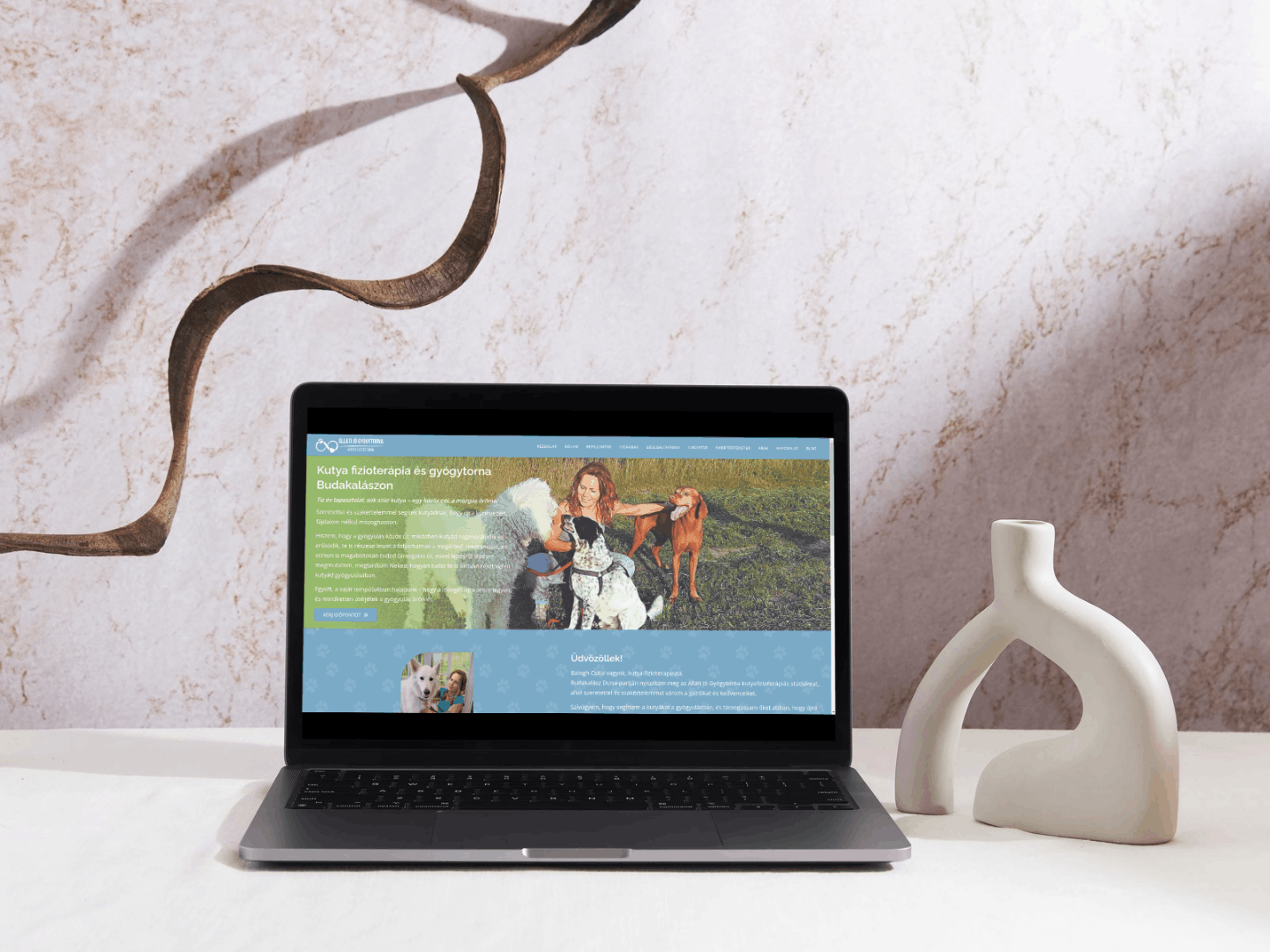 Török Balázs referencia