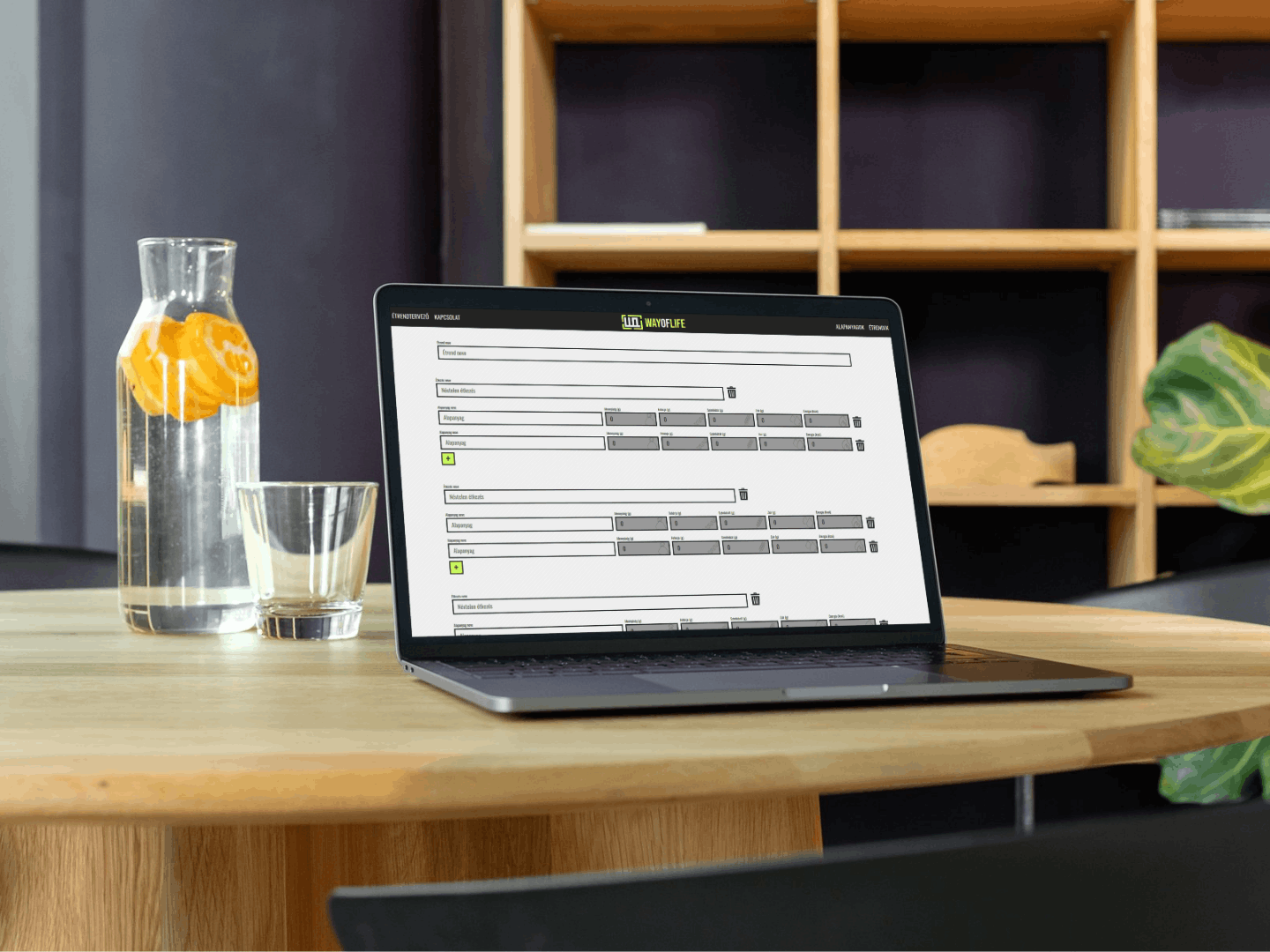 Török Balázs referencia